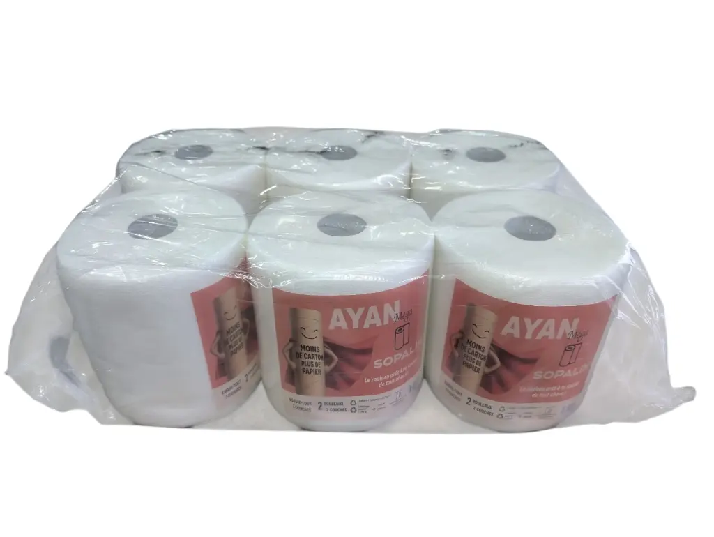 Bobine essuie-tout AYAN (6 pcs)